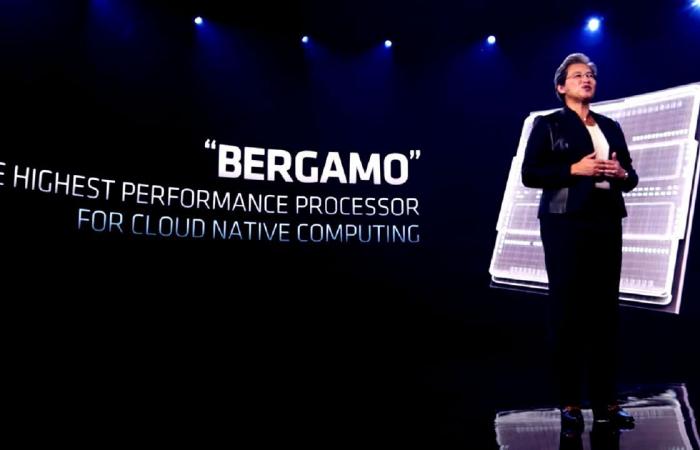 AMD bergamo cpu